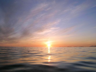 Holiday house 8 Personen Ferienhaus in Svensby - Outdoor photo 36