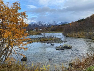 Holiday house 8 Personen Ferienhaus in Svensby - Outdoor photo 41