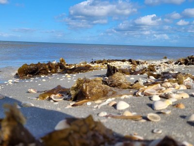 Holiday house Ruhiges Bauernhof-Anneks -- By Traum Ferienwohnungen - Outdoor photo 6