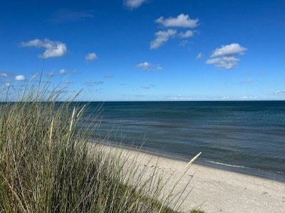 Holiday house Ruhiges Bauernhof-Anneks -- By Traum Ferienwohnungen - Outdoor photo 11