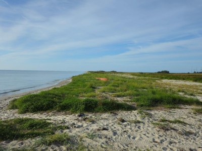 Holiday house Ruhiges Bauernhof-Anneks -- By Traum Ferienwohnungen - Outdoor photo 14