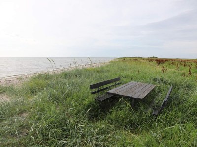 Holiday house Ruhiges Bauernhof-Anneks -- By Traum Ferienwohnungen - Outdoor photo 28