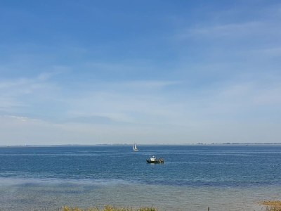 Holiday park Chalet in Wemeldinge am Teich für 4 Von Belvilla - Environment photo 31