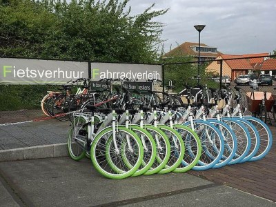 Holiday house Spacious Home by Dunes - Environment photo 13