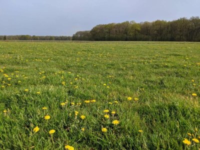 Holiday park Holiday home in Baarle-Nassau with garden - Environment photo 33