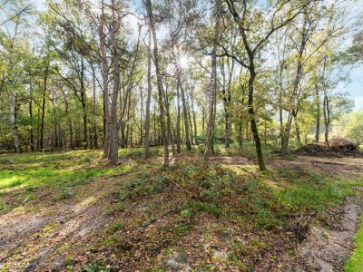 Holiday house Ferienhaus in Haarle nahe Hellendoorn - Outdoor photo 14