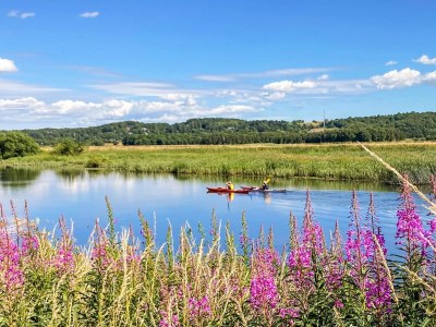 Holiday house Helle Wohnung in Givskud -- By Traum Ferienwohnungen - Outdoor photo 21