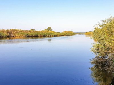 Holiday house Helle Wohnung in Givskud -- By Traum Ferienwohnungen - Outdoor photo 22