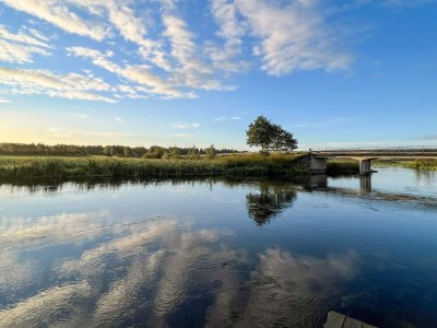 Holiday house Helle Wohnung in Givskud -- By Traum Ferienwohnungen - Outdoor photo 32