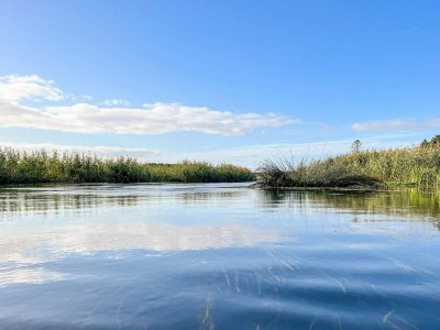 Holiday house Helle Wohnung in Givskud -- By Traum Ferienwohnungen - Outdoor photo 34