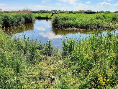 Holiday house Helle Wohnung in Givskud -- By Traum Ferienwohnungen - Outdoor photo 35