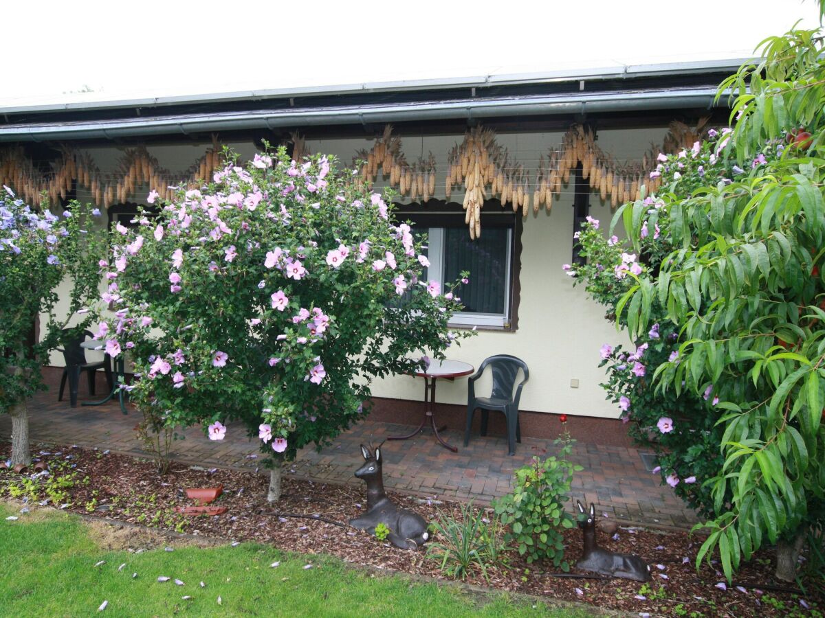 Bungalow Reihenhaus in Lübben an der Spree - Outdoor photo 4