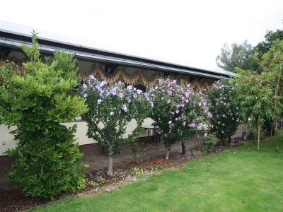 Bungalow Reihenhaus in Lübben an der Spree - Outdoor photo 11