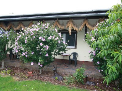 Bungalow Reihenhaus in Lübben an der Spree - Outdoor photo 6
