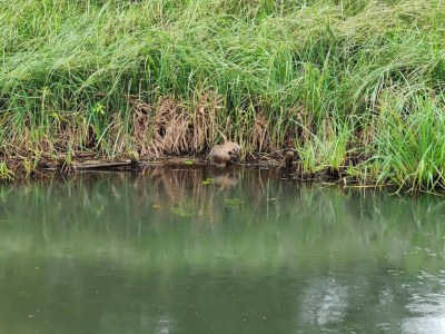 Bungalow Reihenhaus in Lübben an der Spree - Environment photo 19
