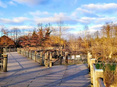 Bungalow Reihenhaus in Lübben an der Spree - Environment photo 24