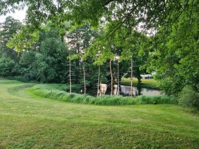 Bungalow Reihenhaus in Lübben an der Spree - Environment photo 32