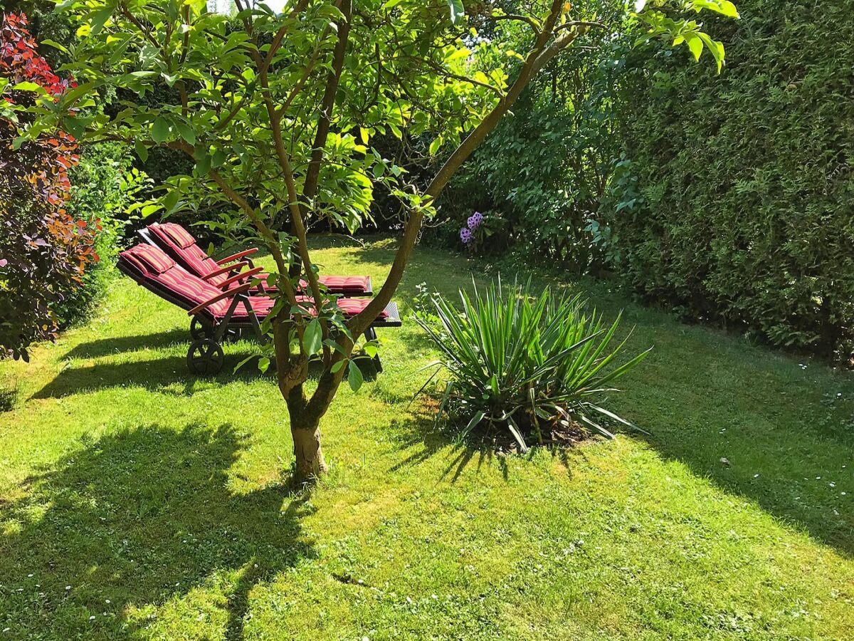 Holiday house Ferienhaus, Suhlendorf - Outdoor photo 2