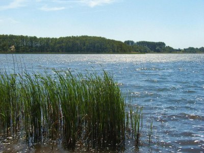 Holiday house Doppelhaushälfte, Plau am See - Environment photo 10