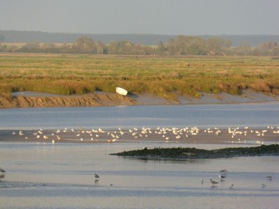 Apartment Ferienwohnung in Cayeux-sur-Mer am Strand - Environment photo 23