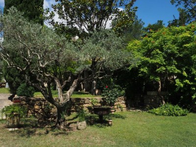 Holiday house Stone House near Châteauneuf-du-Pape Vineyards - Outdoor photo 2