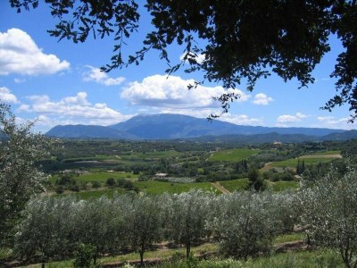 Holiday house Stone House near Châteauneuf-du-Pape Vineyards - Environment photo 18