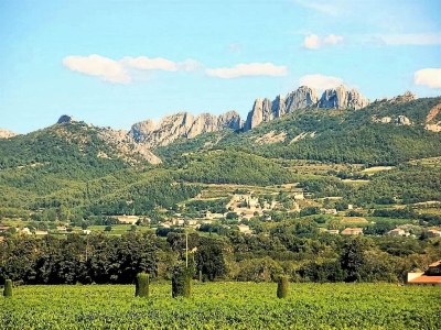 Holiday house Stone House near Châteauneuf-du-Pape Vineyards - Environment photo 24