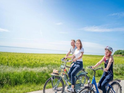 Apartment tolles Appartment in der Seenplatte - Environment photo 50