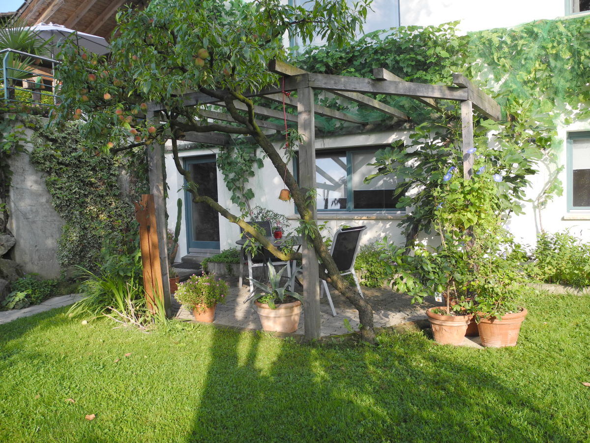 Holiday apartment Studio gARTen - Outdoor photo 2