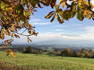 Holiday apartment Studio gARTen - Environment photo 23