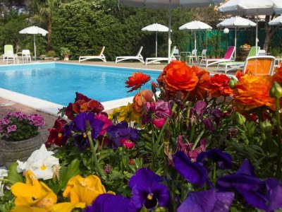 Holiday park Apartment in Loano with garden - Outdoor photo 7