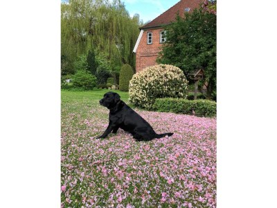 Holiday apartment Woltersmuehlen bei Scharbeutz - Environment photo 24