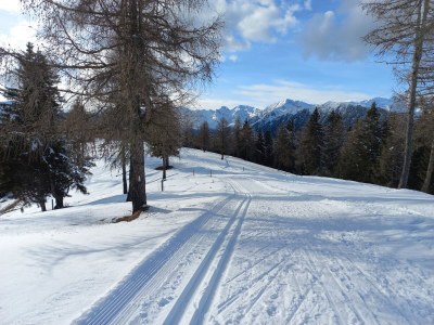 Chalet Mountain Chalet Tribulaun - Environment photo 27