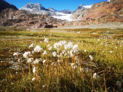Chalet Mountain Chalet Tribulaun - Environment photo 33