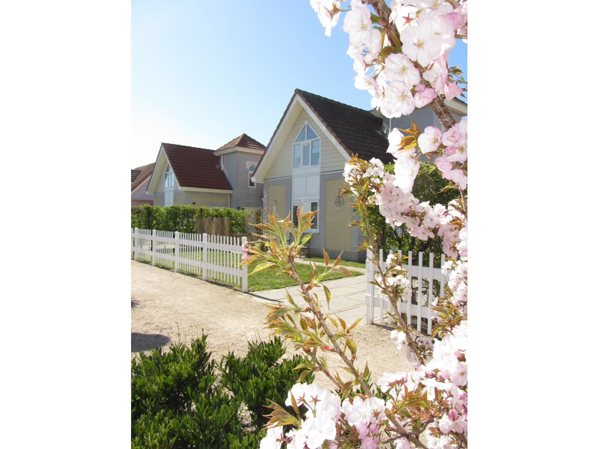 Holiday house Seewind - Outdoor photo 2