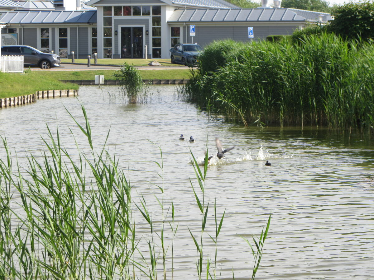 Holiday house Seewind - Outdoor photo 5