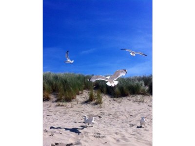 Holiday house Seewind - Environment photo 29