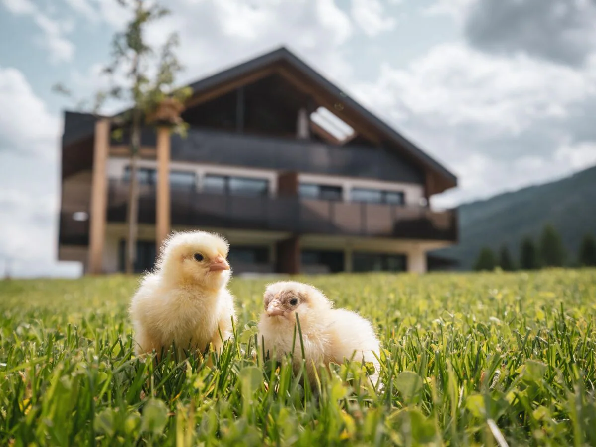 Holiday apartment 'Sottla' with sauna & whirlpool - Outdoor photo 2