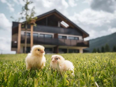 Holiday apartment 'Sottla' with sauna & whirlpool - Outdoor photo 2