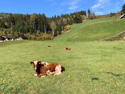 Apartment Apartment Gidi und Lisl - Outdoor photo 39