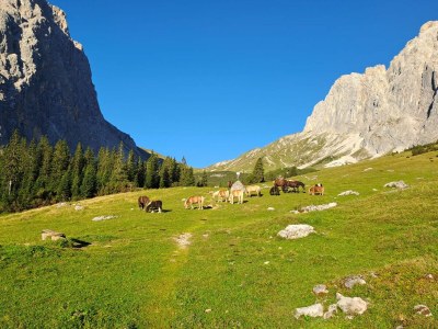 Holiday apartment Leni - Environment photo 15