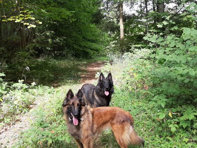 Holiday house No title - Environment photo 21