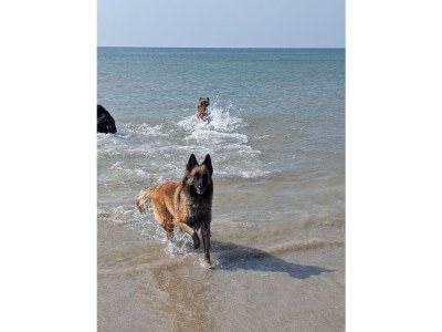 Holiday house No title - Environment photo 9