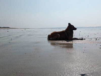 Holiday house No title - Environment photo 11