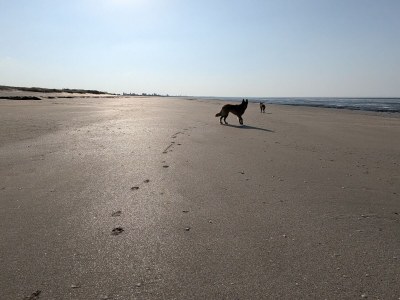 Holiday house No title - Environment photo 12