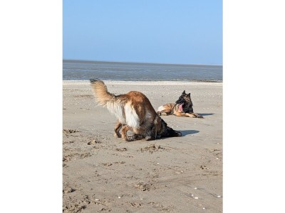 Holiday house No title - Environment photo 14