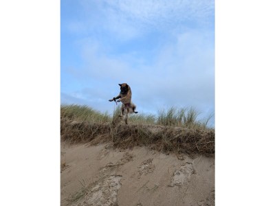 Holiday house No title - Environment photo 15