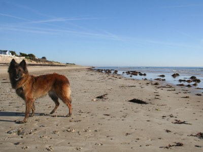 Holiday house No title - Environment photo 17