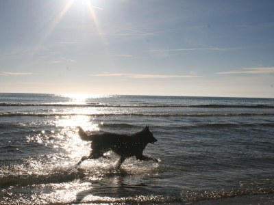 Holiday house No title - Environment photo 18