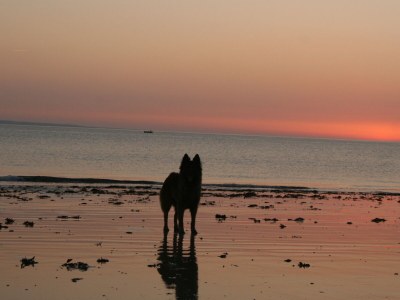 Holiday house No title - Environment photo 19